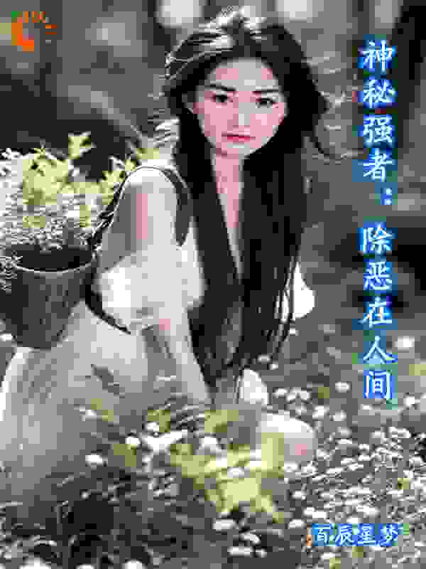 神秘强者：除恶在人间