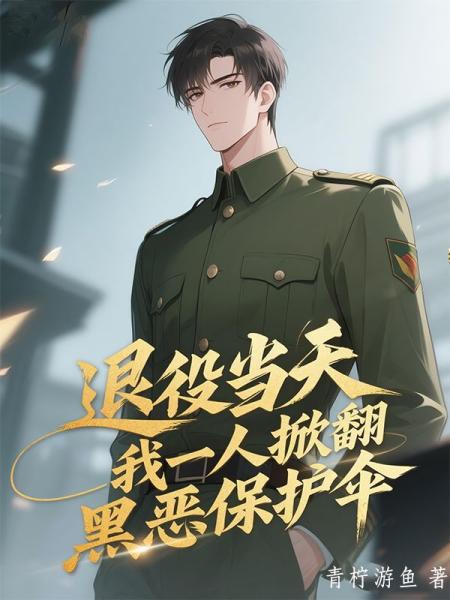 退役当天，我一人掀翻黑恶保护伞
