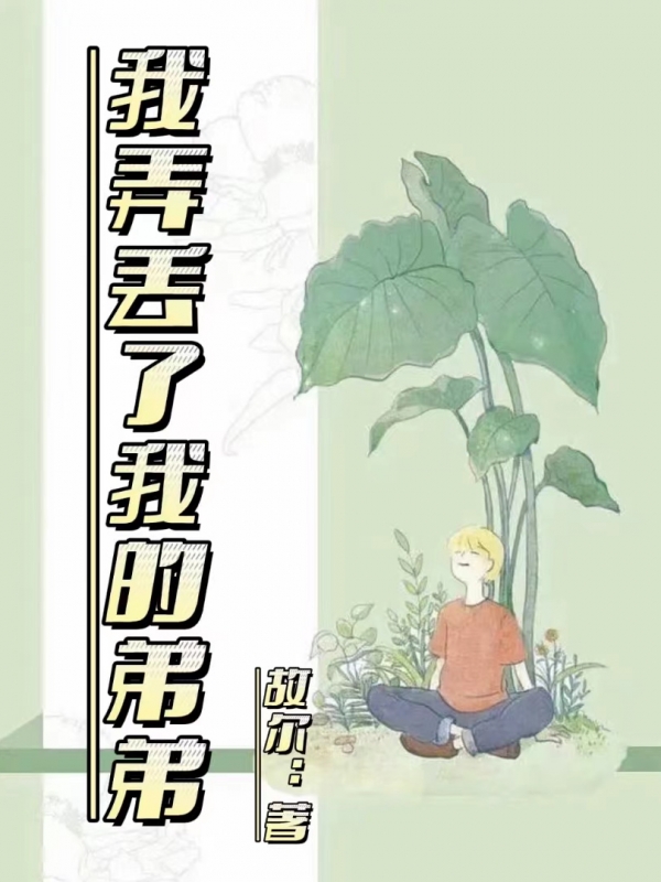 我弄丢了我的弟弟