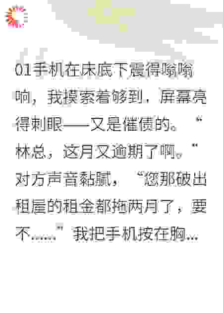 破产CEO的温婉保姆