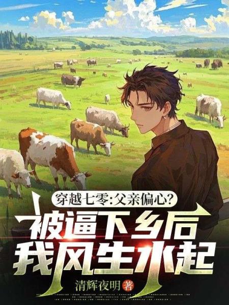 穿越七零：父亲偏心？被逼下乡后我风生水起