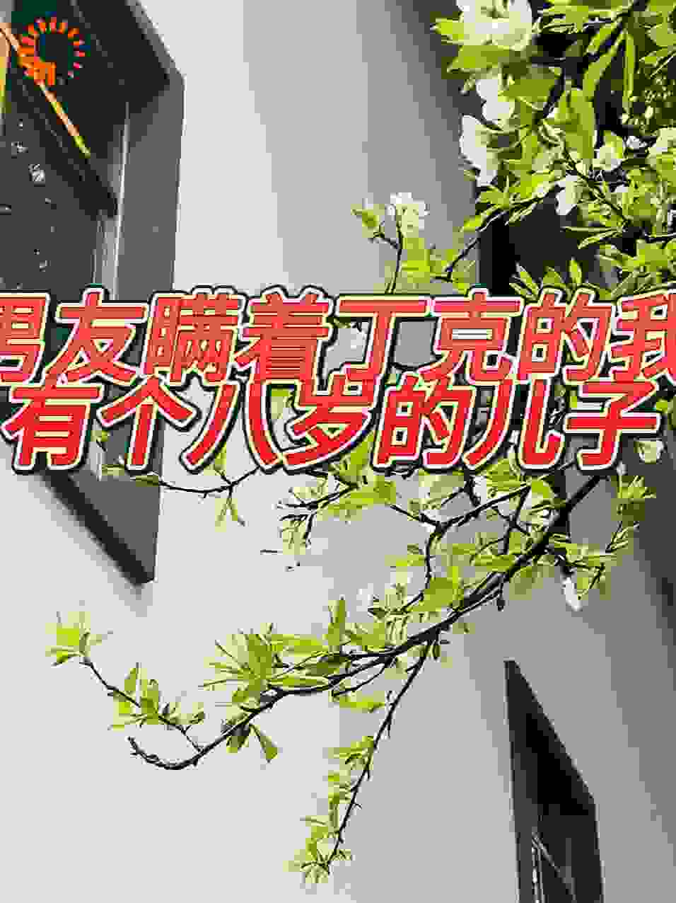 男友瞒着丁克的我有个八岁的儿子