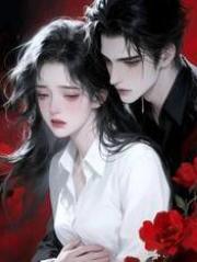 山茶花开，旧梦不回