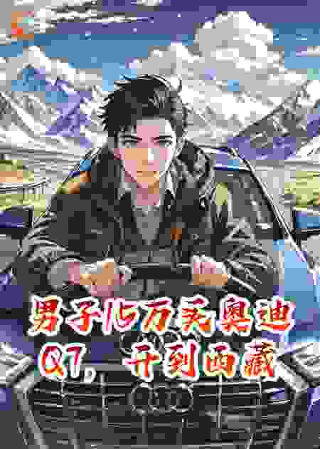 男子15万买奥迪Q7，开到西藏高原