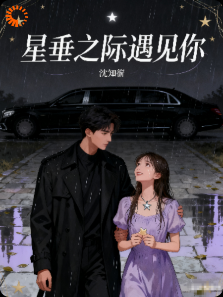 星垂之际遇见你