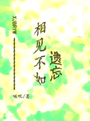 相见不如遗忘